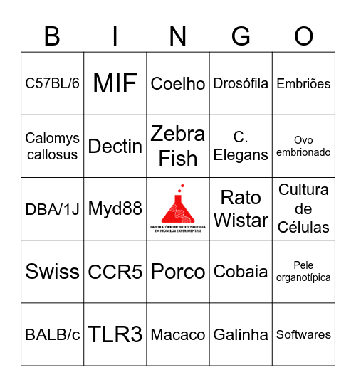 Bingo - Arraiá Labme/REBIR Bingo Card