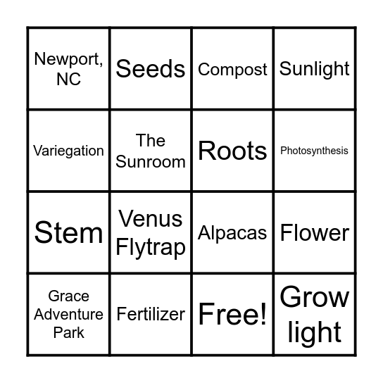 Random/CHG Questions Bingo Card