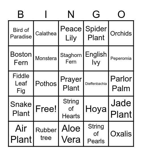 Houseplants Round 3 Bingo Card
