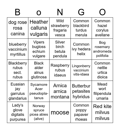 Harz Species Bingo Card
