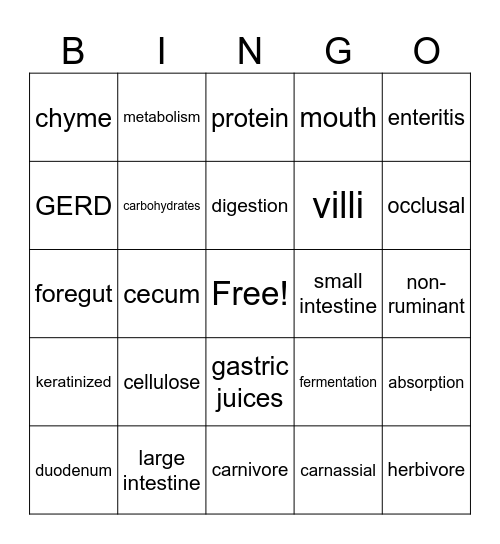 Digestive Systems Bingo Card