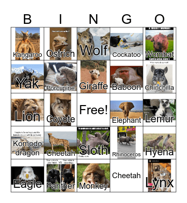 Animal Themed Bingo Card