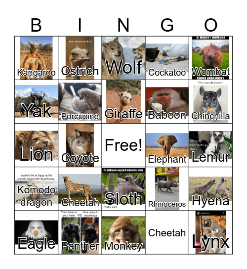 Animal Themed Bingo Card