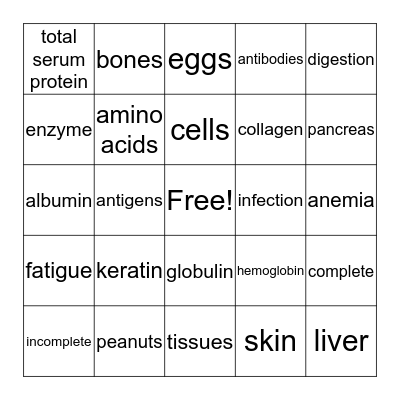 Are you an Expert on Protein? Bingo Card