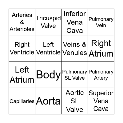 Anatomy Bingo Card
