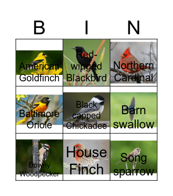 Bird Bingo Card