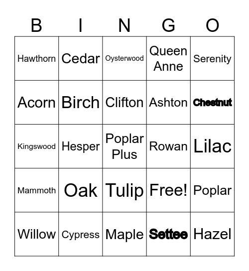Oak Tree Bingo Card