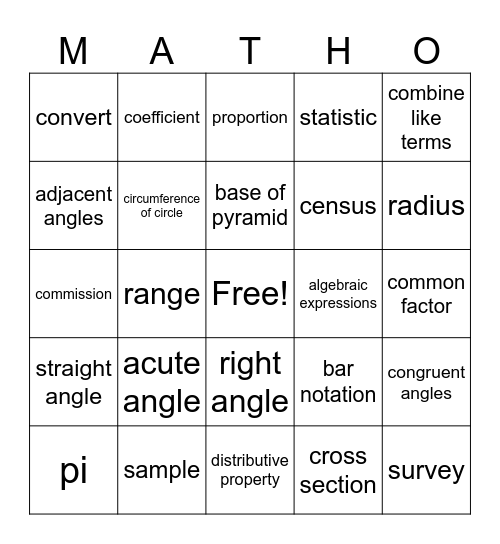 7 and 8th Grade Vocabulary Bingo Card