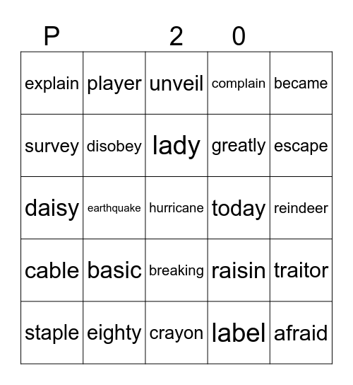 P 20 Bingo Card