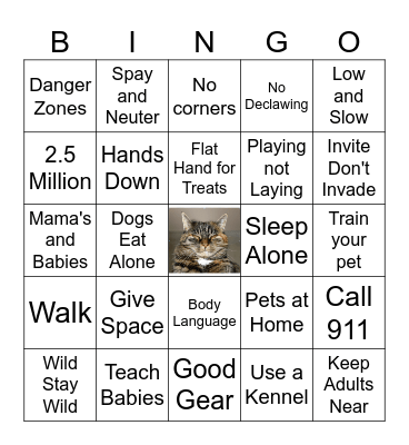 Animal Safety Bingo Card