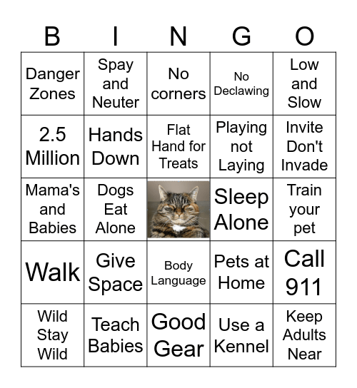 Animal Safety Bingo Card