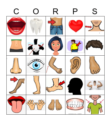 Les parties du corps Bingo Card