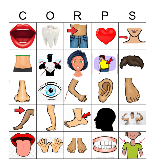 Les parties du corps Bingo Card
