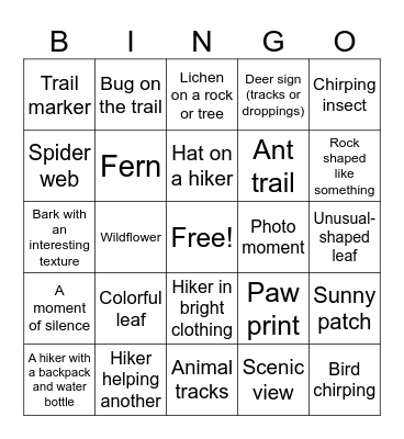 🥾The Gray Hike! 🥾 Bingo Card