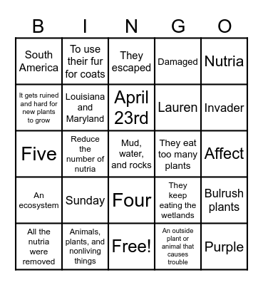 ECOSTSTEM BING Bingo Card