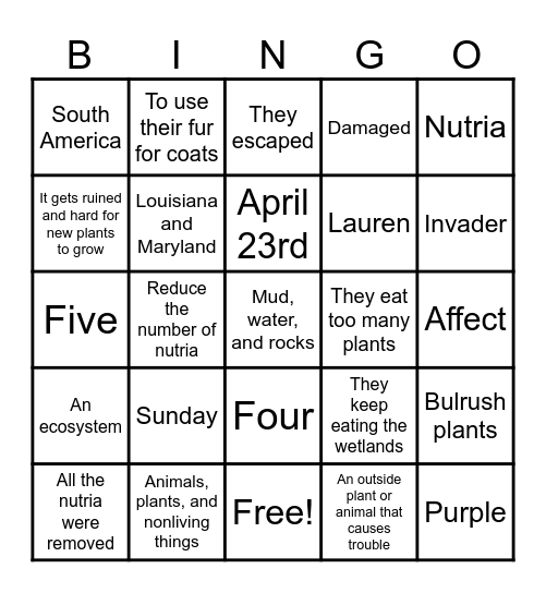 ECOSTSTEM BING Bingo Card