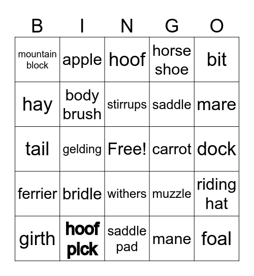 pony club bingo Card