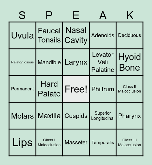Articulatory System Bingo Card
