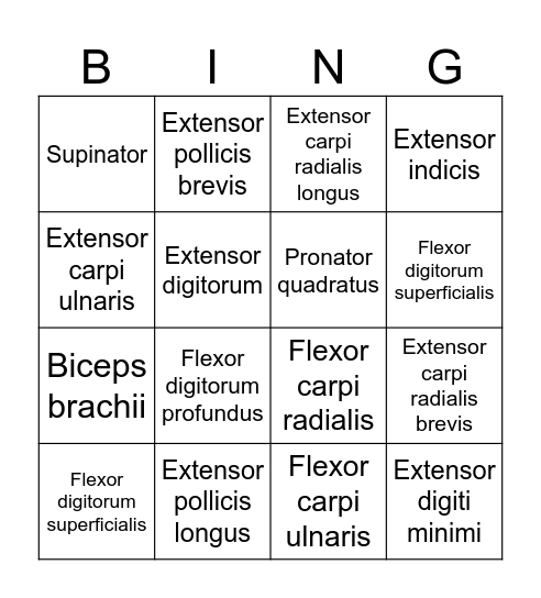 Muscles BINGO! Bingo Card