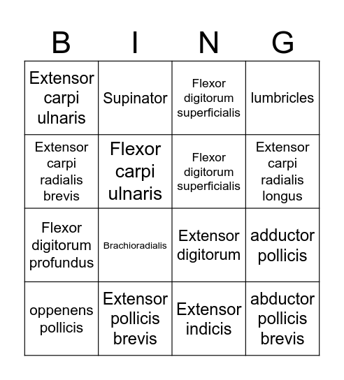 Muscles BINGO! Bingo Card