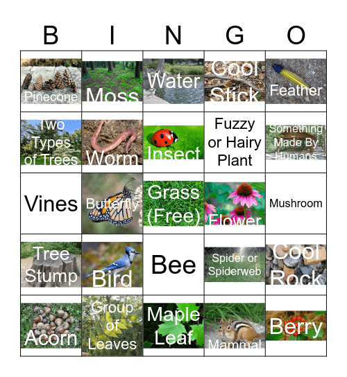 Wilderness Bingo Card