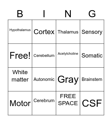 CNS vs PNS Bingo Card