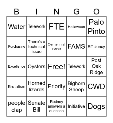 Summer Townhall Bingo Card