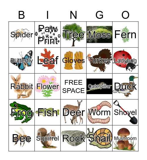 Nature Bingo Card