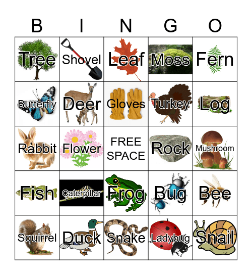 Nature Bingo Card