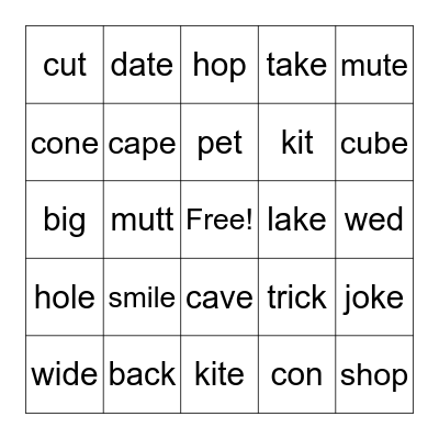 Long vowels; silent-e BINGO Card