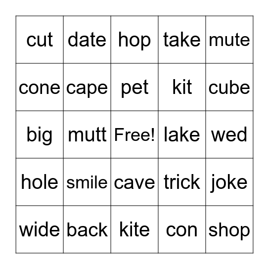 Long vowels; silent-e BINGO Card