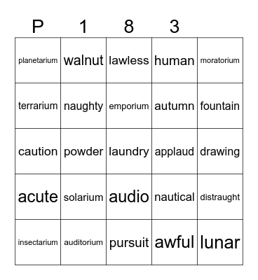 P 183 Bingo Card