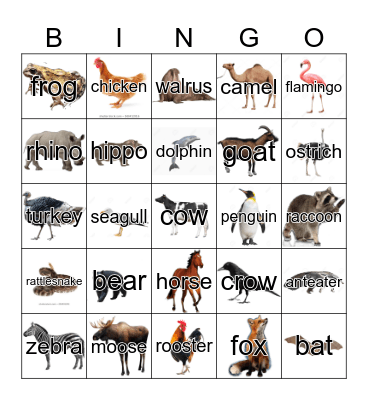 Animal Bingo Card