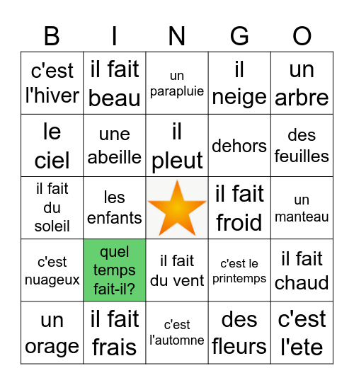 French weather and seasons Bingo Card