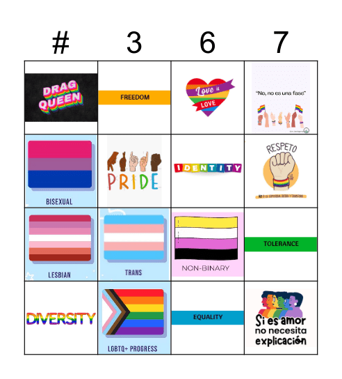 Orgullo 367 Bingo Card