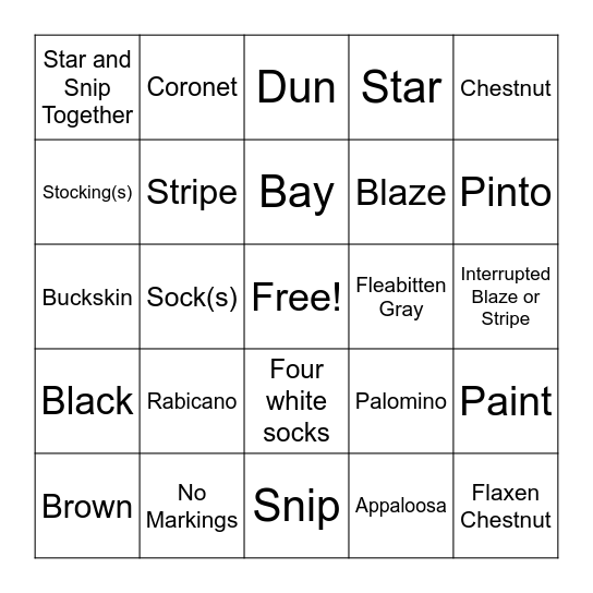 Horse Colors Bingo Card
