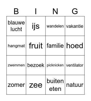 zomer NT2 volwassen Bingo Card