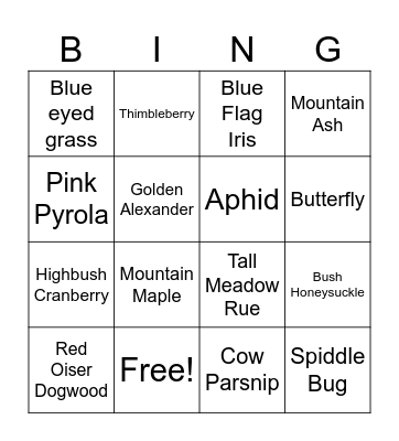 June Bingo Card