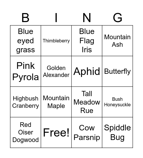 June Bingo Card