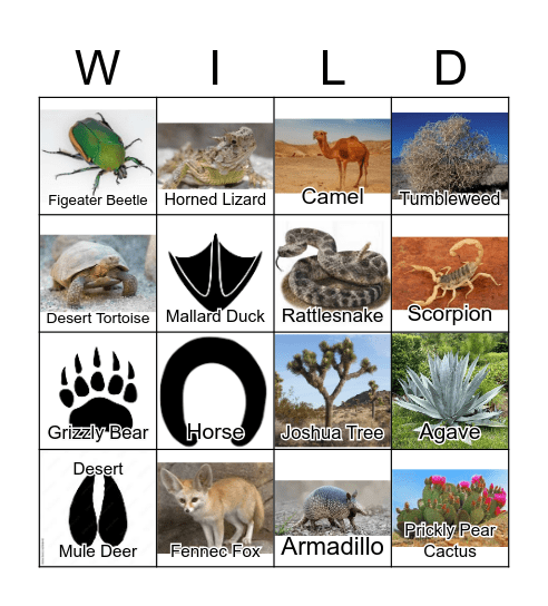 Wild West Bingo Scavenger Hunt Bingo Card