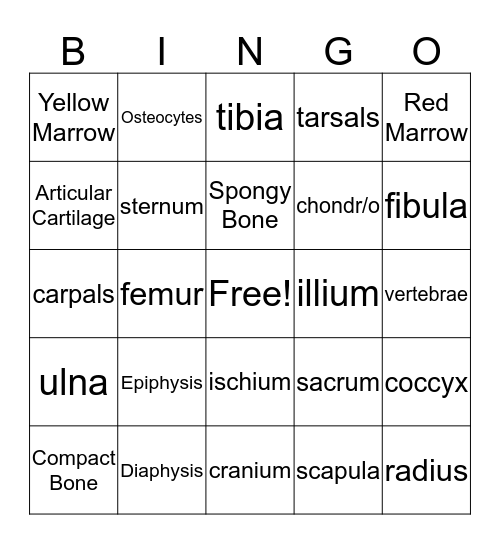 Bones and Skeleton Bingo Card