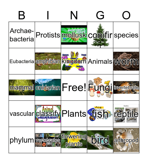Classifying Organisms Bingo Card