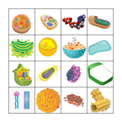 Cell Bingo! Bingo Card