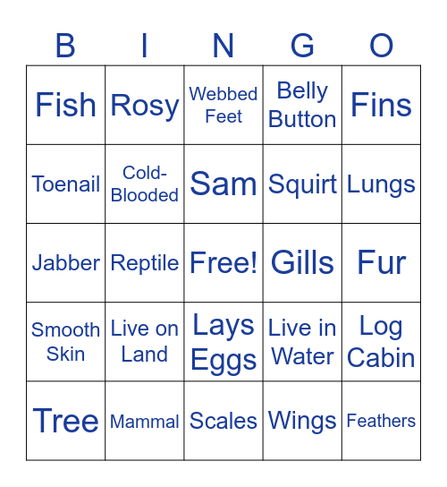 What Am I Bingo Card