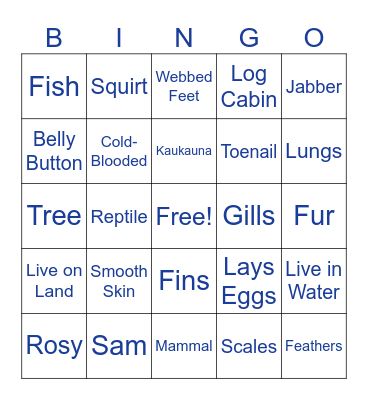 What Am I Bingo Card