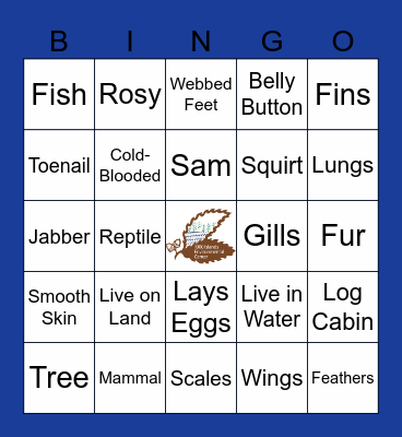 What Am I Bingo Card