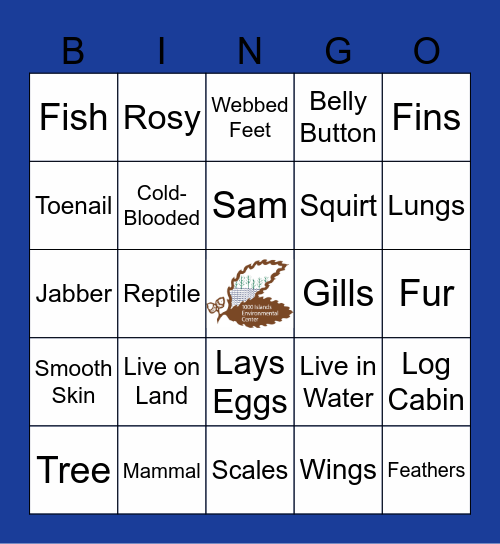 What Am I Bingo Card