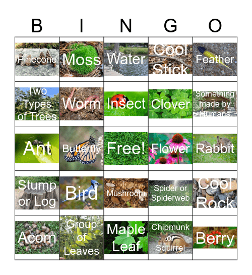 Wilderness Bingo Card