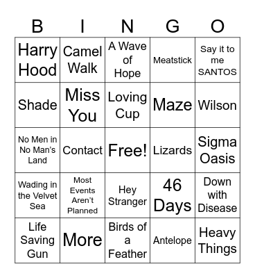 Wholesome Pholsom  Bingo Card