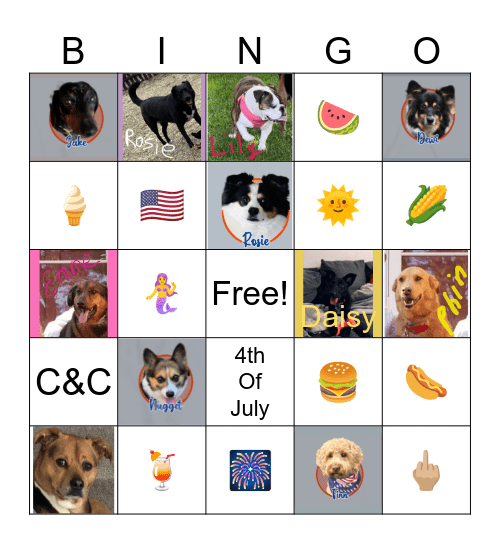 🇺🇸The Field’s on the 4th!🇺🇸 Bingo Card